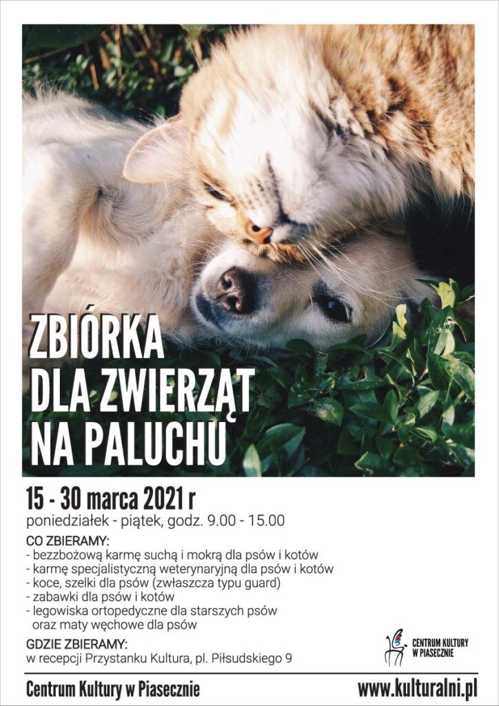 Zbiórka dla zwierząt na Paluchu - plakat